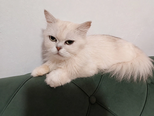 AÇIKLAMAYI OKUYUNUZ LÜTFEN fotoğraf
