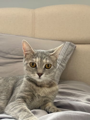 AÇIKLAMAYI OKUYUNUZ LÜTFEN fotoğraf