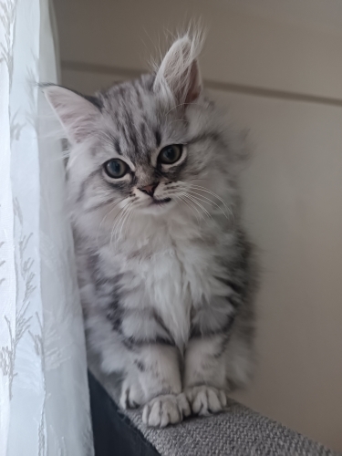 Minnoş bebişe ömürlük yuva fotoğraf