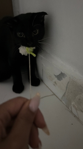 Eros’a yuva arıyoruz fotoğraf