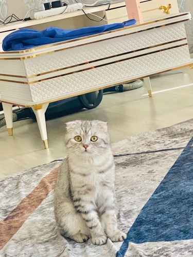 Güzel kızıma ömürlük yuva 😊 fotoğraf