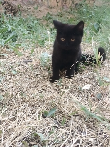 Sokağa terkedilen minik bebişe yuva fotoğraf