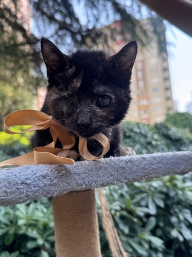 Zeyna kendisine evini ve kalbini açacak meleğini bekliyor fotoğraf