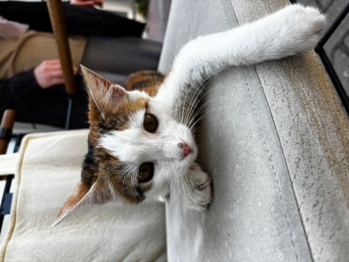 Hikayesini Okumadan Geçmeyin fotoğraf