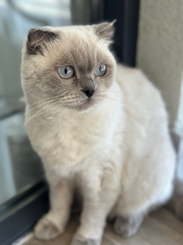 Miyamıza sıcak yuva arıyoruz fotoğraf