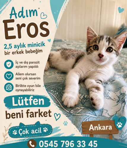 Oyuncu oğluşum minik aslan kralım çok tatlı fotoğraf
