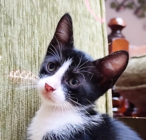 SOKAKLARA DÖNMEME İZİN VERMEYİN fotoğraf