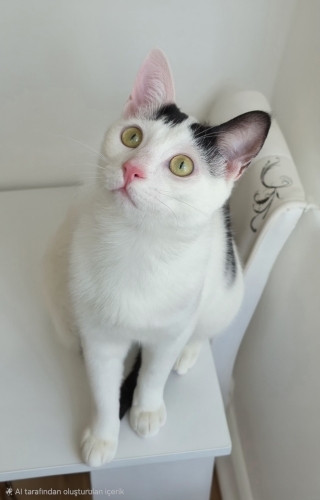 Sevimli oğlumuza ömürlük yuva fotoğraf