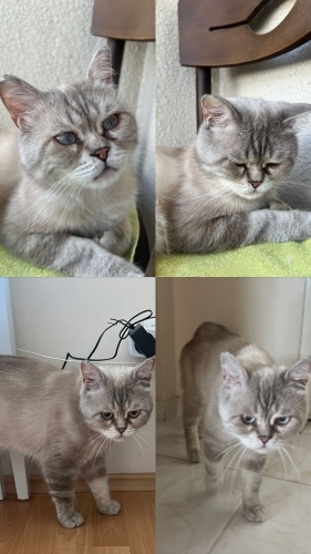 Çok uslu ve sakin fotoğraf