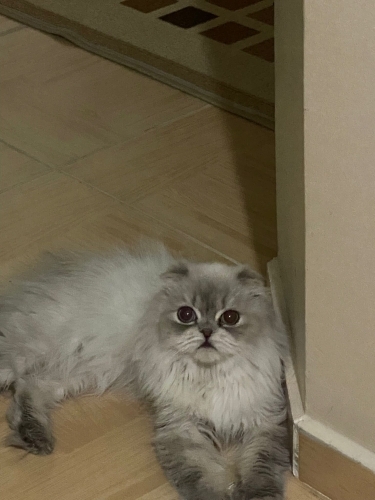 Bu güzelliğe bir yuva, bu masum kalbe bir ömür gerekir fotoğraf