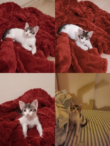 Benim Adım Prensess :) fotoğraf