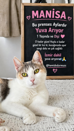 Çok az zamanı kaldı sokağa dönmesin fotoğraf