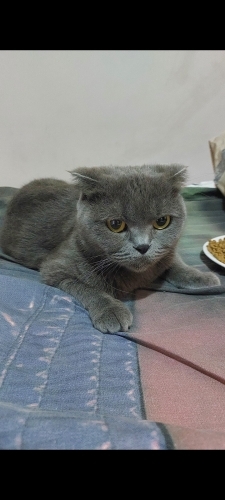 Üretim mağduru güzel kıza acil yuva fotoğraf