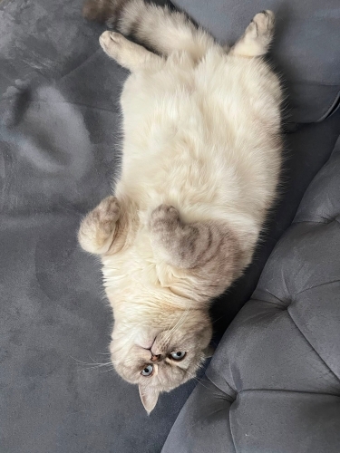 Uysal cocugumuza yuva fotoğraf