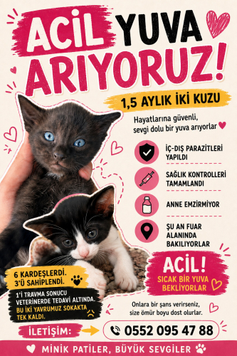 İKİ KARDEŞ FUARA ATILDILAR fotoğraf