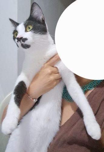 UZUN ZAMANDIR ÖMÜRLÜK YUVASINI BEKLİYOR TAM BİR KUCAK BEBEĞİ fotoğraf