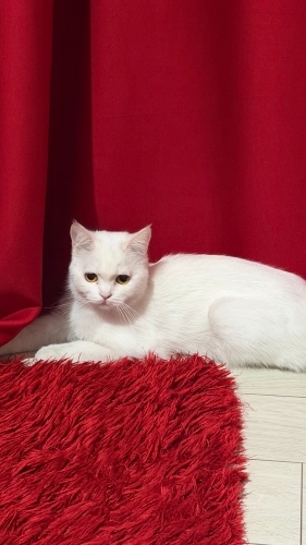 Acill sokaktan bulduk fotoğraf