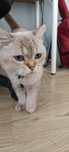 Tam bir temas bağımlısı prens fotoğraf