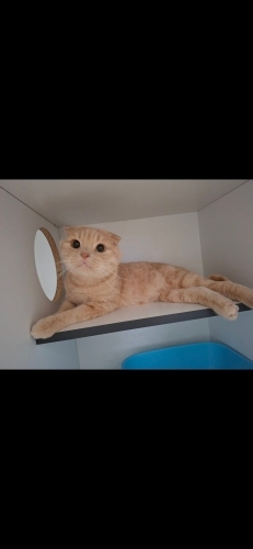 Kliniğimize terk edilen çocuğa yuva fotoğraf