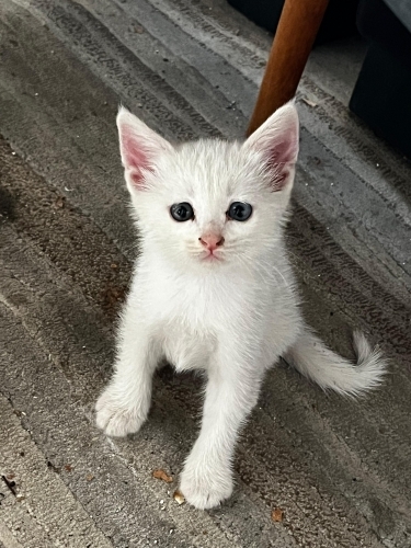Oyuncu kendini sevdiren fotoğraf