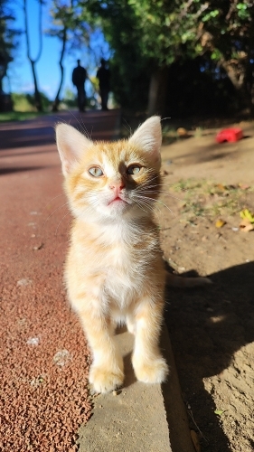 Güzelliği ile büyülüyor fotoğraf