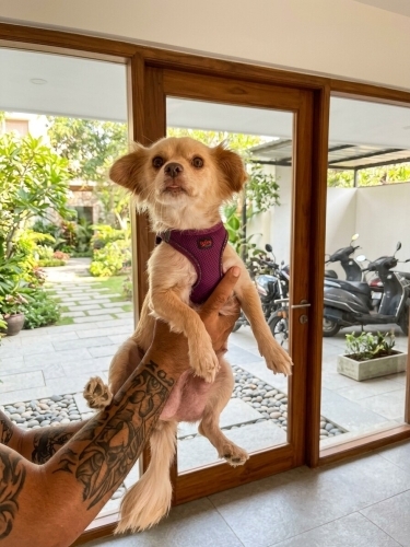Minik Kızımız Yeni Ailesini Arıyor! fotoğraf