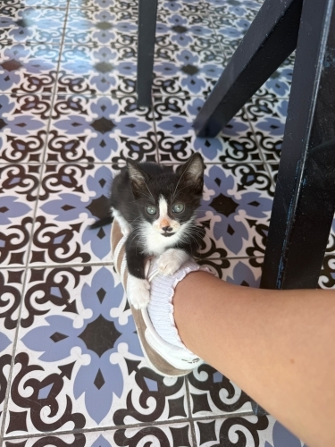 Dünya tatlısı bir bebek fotoğraf