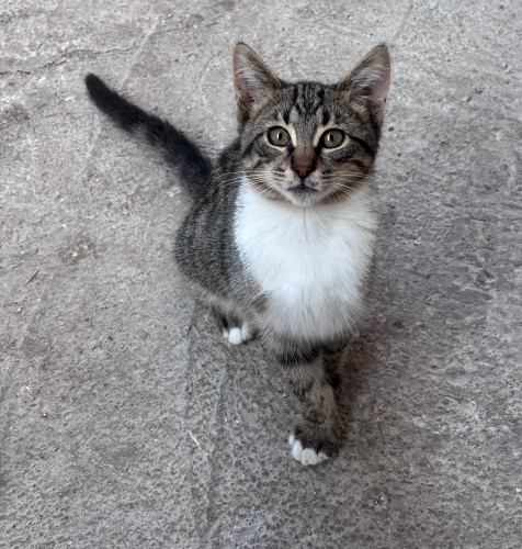 Hangi oje yakışmaz ki kız sana :D fotoğraf