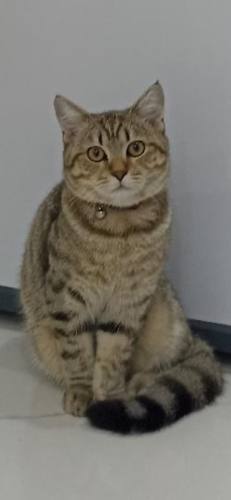 Uysal,kucak bağımlısı bir oğlunuz olsun istemez misiniz? fotoğraf