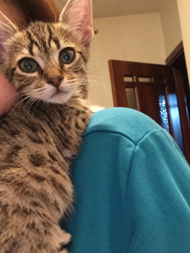 ZOE YUVA ARIYOR fotoğraf