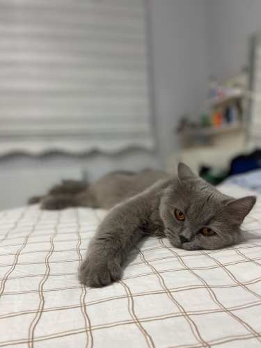 Kızıma güzel bakacak ömürlük yuva arıyorum fotoğraf