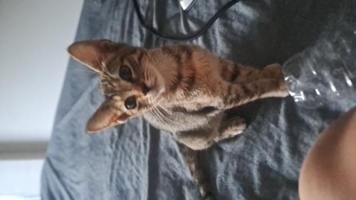 Sevgi dolu mırmır minik fotoğraf