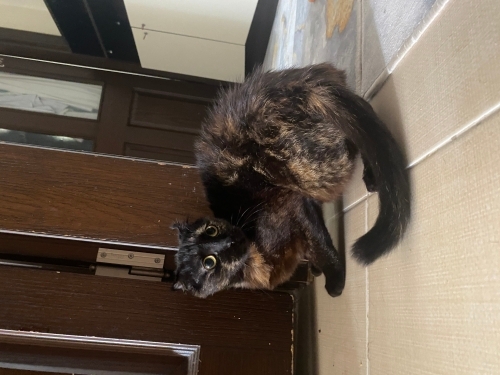 HAYATA TUTUNMUŞ BİR BEBEK fotoğraf