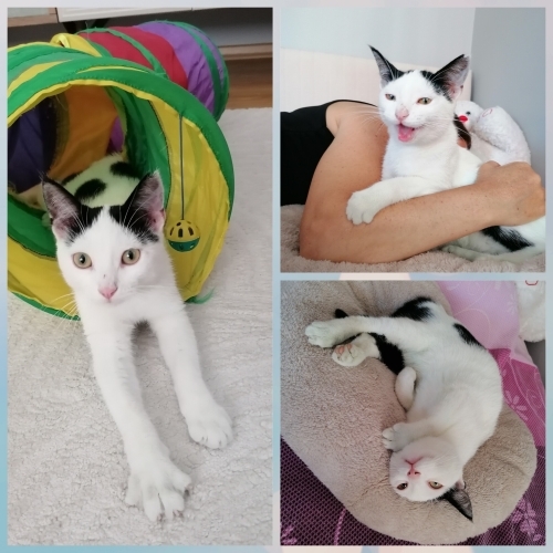 Maya Prensese yuva fotoğraf