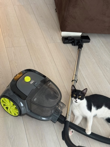 Turşu evsiz kalacak fotoğraf