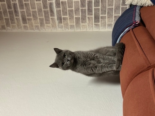 Mia kızıma yuva arıyorum fotoğraf