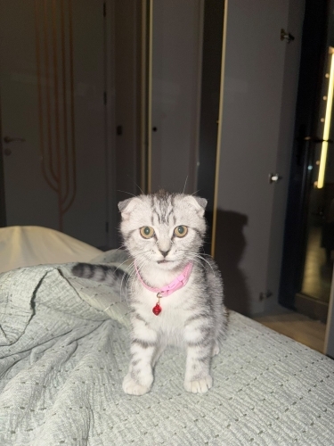 Güzeller güzeli kızımız fotoğraf
