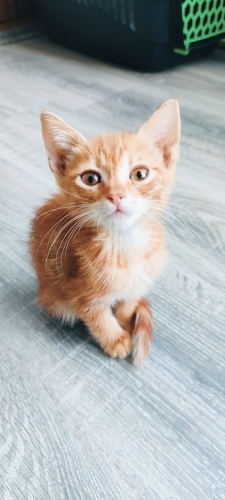 DİKKAT, FOTOĞRAFA 3 SN DEN FAZLA BAKARSANIZ AŞIK OLABİLİRSİNİZ :) fotoğraf