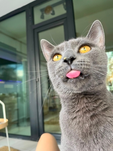 Bi çoçuğu sokakta bulduk fotoğraf