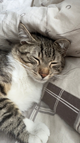 1 Yaşında oğlumuza ömürlük yuva arıyoruz fotoğraf