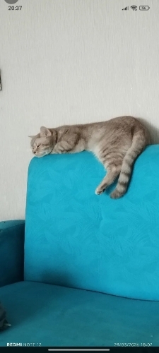 Sıcak yuva arıyoruz fotoğraf