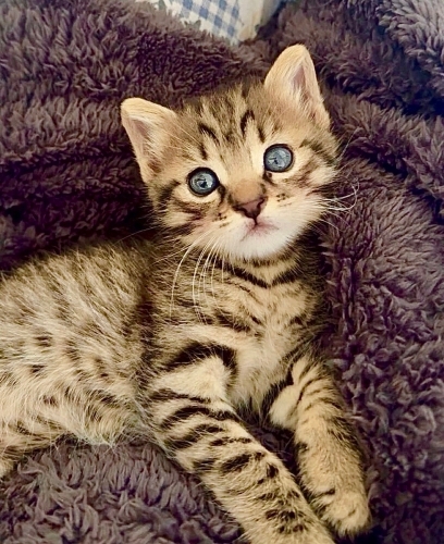 Onun ailesi olur musunuz? fotoğraf