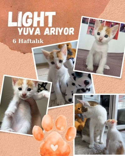 Kucak seven çok sevgi dolu bir cocuk fotoğraf