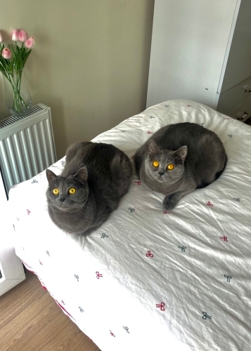 Saşa ve Rozita Dünya Tatlısı Anne ve Kız fotoğraf