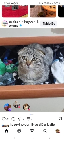 Eve ihtiyacı var fotoğraf