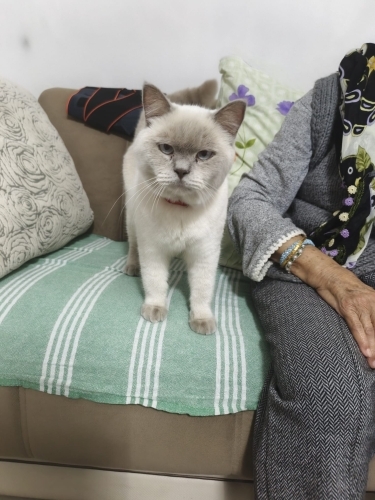 bulutumuz ömürlük yuva arıyor fotoğraf
