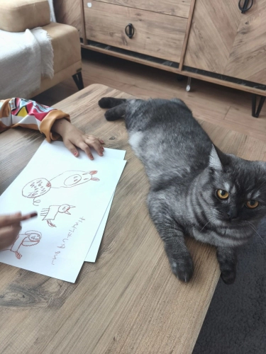 Minnos sevecen sakin fotoğraf