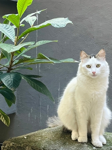 Sıcak Yuvanıza İhtiyacı Var fotoğraf