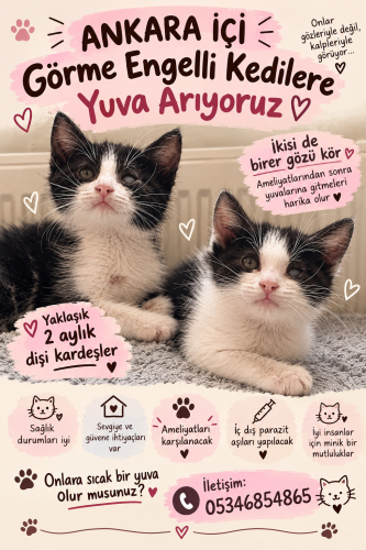 GÖRME ENGELLİ CANLARA YUVA ARIYORUZ fotoğraf