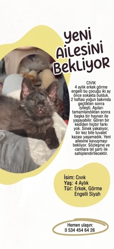 CIVIK YUVA ARIYOR fotoğraf
